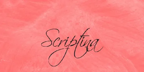 Scriptina Family font