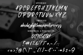 roastink demo font