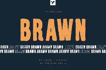 Brawn font