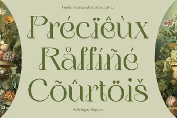 Nerilla font