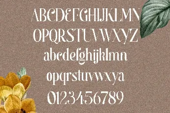 Begova font