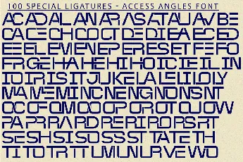 ACCESS ANGLES DEMO font