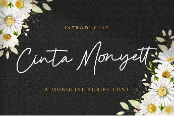 Cinta Monyett font