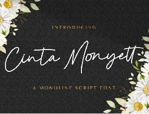 Cinta Monyett font