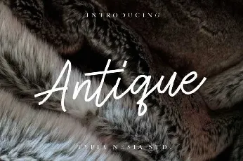 Antique Script Free font