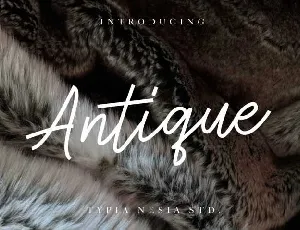 Antique Script Free font