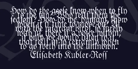 Leipzig Fraktur font