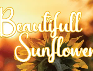 Beautifull Sunflower Script font