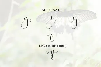 Butterfly Calligraphy Typeface font