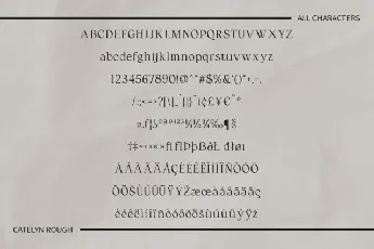 Catelyn Rough font