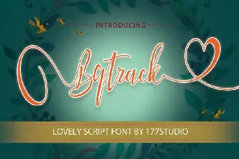 Bqtrack Calligraphy Script font