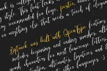 Bqtrack Calligraphy Script font