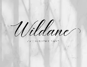 Wildane font