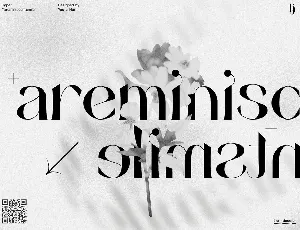 Areminiscentsmile Family font