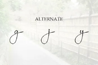 Boundary Script font