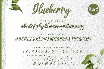 Blueberry font