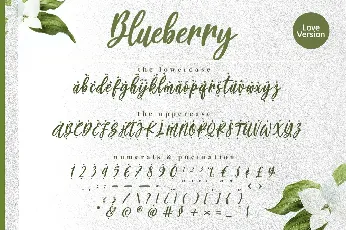 Blueberry font