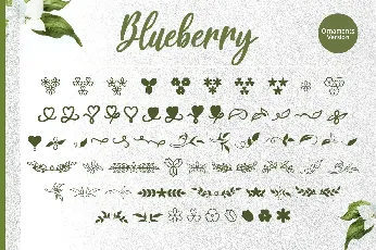 Blueberry font