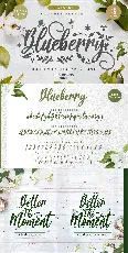 Blueberry font