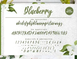 Blueberry font