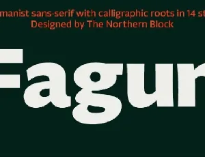 Fagun Family font