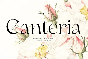 Canteria font