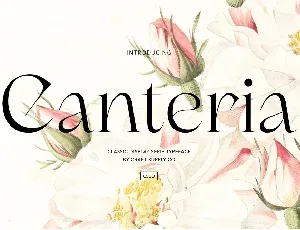 Canteria font