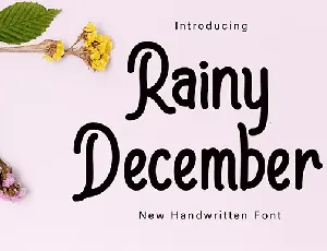 Rainy December font