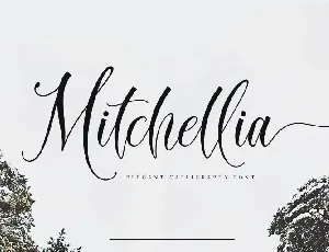 Mitchellia Script font