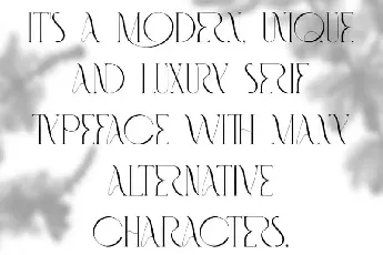 Fashionable â€“ Elegant Serif font