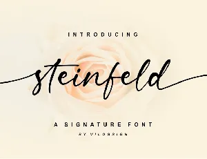 Steinfeld font