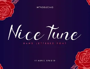 Nice Tune Demo font