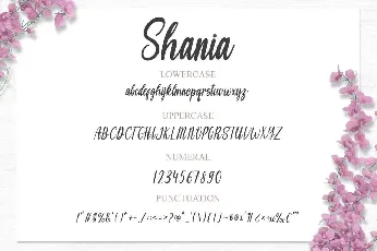 Shania font