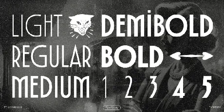 TT Modernoir Trial font