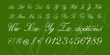 zai Italic Hand Calligraphy font