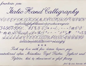 zai Italic Hand Calligraphy font