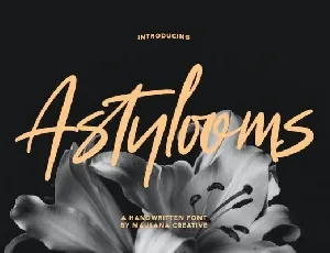 Astylooms font