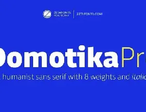 Domotika Pro Sans Serif font