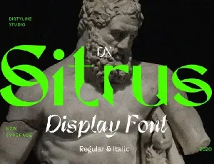 Dx Sitrus Display font