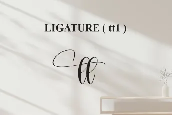 Silhoutte Calligraphy font