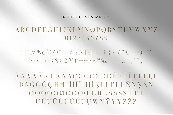 Visual Hollow Serif Duo font