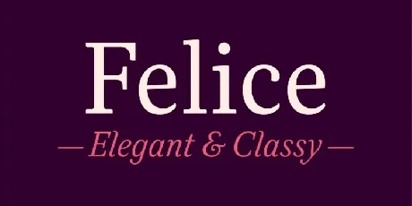 Felice Family font