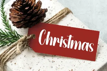 Garden Christmas Display font