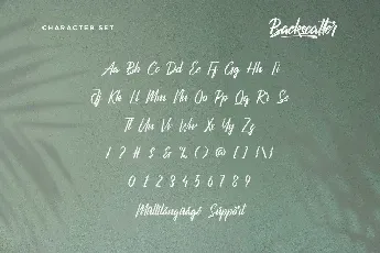 Backscatter Demo font