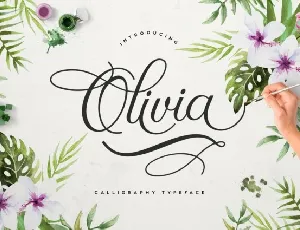 Olivia Typeface font