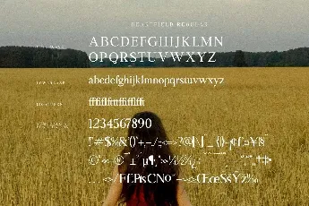 Heartfield font