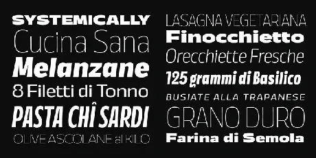 Annuario Family font