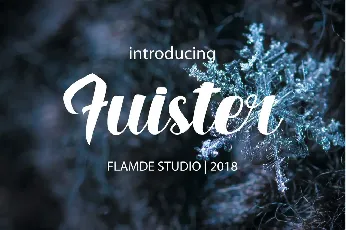 Fuister Script font