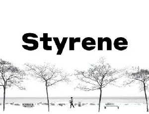 Styrene Family font