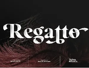 Regatto font